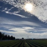 10月29日　秋ですねえ