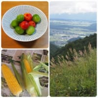 夏も終わり