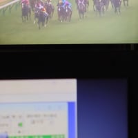 チェルビアット〜桜花賞６着