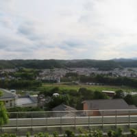 病院からの風景