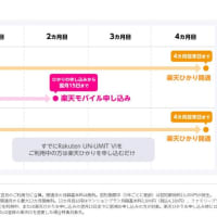 楽天ひかり ( Rakuten 光 )　1年無料