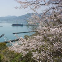 AIも花盛り
