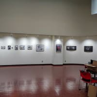切り絵＆写真コラボ展示会