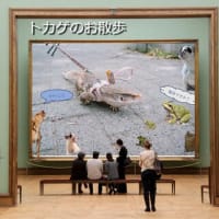 11月のカレンダー