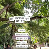 〜K37   赤い地球・青い手・音11〜　「音9」同士の再会