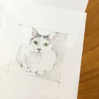 花の名前とか、ぼたんのこととか
