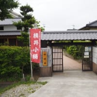 横井小楠記念館（四時軒）のカタルパの花