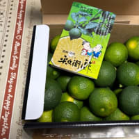夏至だったのね。。