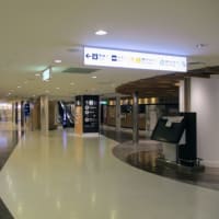 ほぼ無人の成田国際空港を見る【夏休み】
