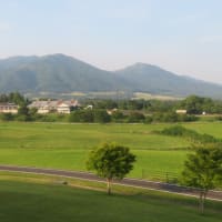 夕食は「バイキング」