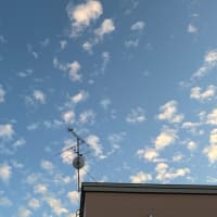 うちのぶるーべりー