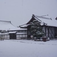 夏の日の　冬ソナ　やるせなさ
