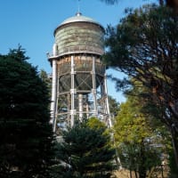敷島の配水塔とラザニア