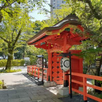 梅雨の晴れ間の愛宕神社