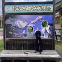 6月の里帰り