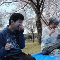 かがやき　お花見外出