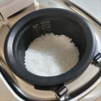フラッグシップモデル