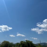自分を信じて頑張るしかないよね