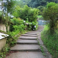 朝の散歩（2025/6/30）・・・姶良市加治木町網掛川上流・龍門滝方面
