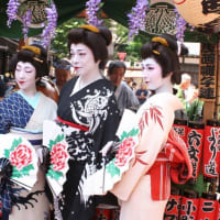 浅草三社祭