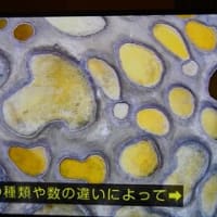 凄い！！としか・・「カナダ寒暖の奇観」より