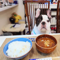 一年前はこんなに元気でした