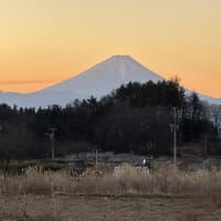 「沈まぬ太陽」
