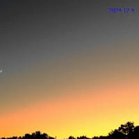 いよいよスタート　夜釣り