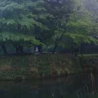 毘沙門の滝