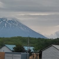 「山菜ハンター2025」vol.6