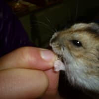 当たるんだ!