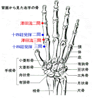 麦粒腫への二間の灸と面疔への合谷多壮灸　ver.1.1