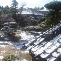 雪が降りました