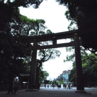 明治神宮御苑　　明治天皇ゆかりの由緒ある花菖蒲苑　　　1