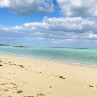 夏を楽しむ歌で