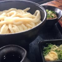 土佐手打うどん　さかえ
