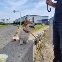 一瞬ビビった・・・