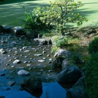 ●残暑の兼六園　　気温32~33℃　　霞が池に映り込み　内橋亭　花見橋　鶺鴒島　曲水