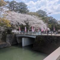 今年は変化の年？