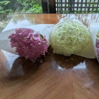 紫陽花のまじない