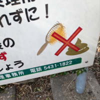 今日いち-2025年3月2日