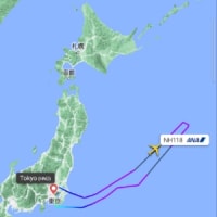 NH　HNDSEA　乗客がCAにかみつき羽田に引き返す