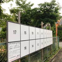 7月は