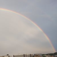 虹