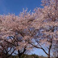 おまけ