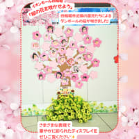 イオンモール四條畷「桜の花を咲かせよう」ディスプレイ