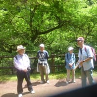 和7年度　NTT-OB伊東地区旅行同好会春のハイキング