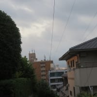 暑さがひと段落したと思ったら梅雨が戻ってくるらしい