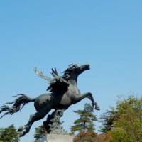 2025ペガサスカップディスクゴルフ大会のご案内