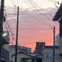 ADHDの生き方